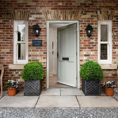 Partridge 노샐러톤